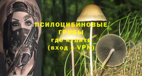 синтетический гашиш Алексин