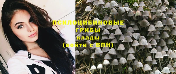 синтетический гашиш Алексин