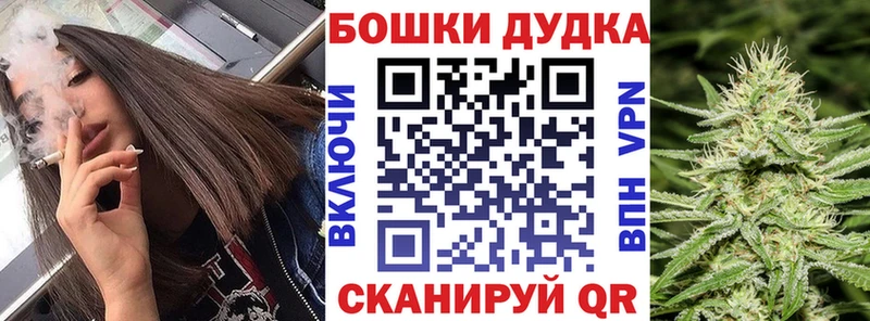как найти наркотики  Конаково  Бошки марихуана планчик 